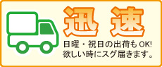 迅速　日曜・祝日の出荷もOK！欲しい時にスグ届きます。